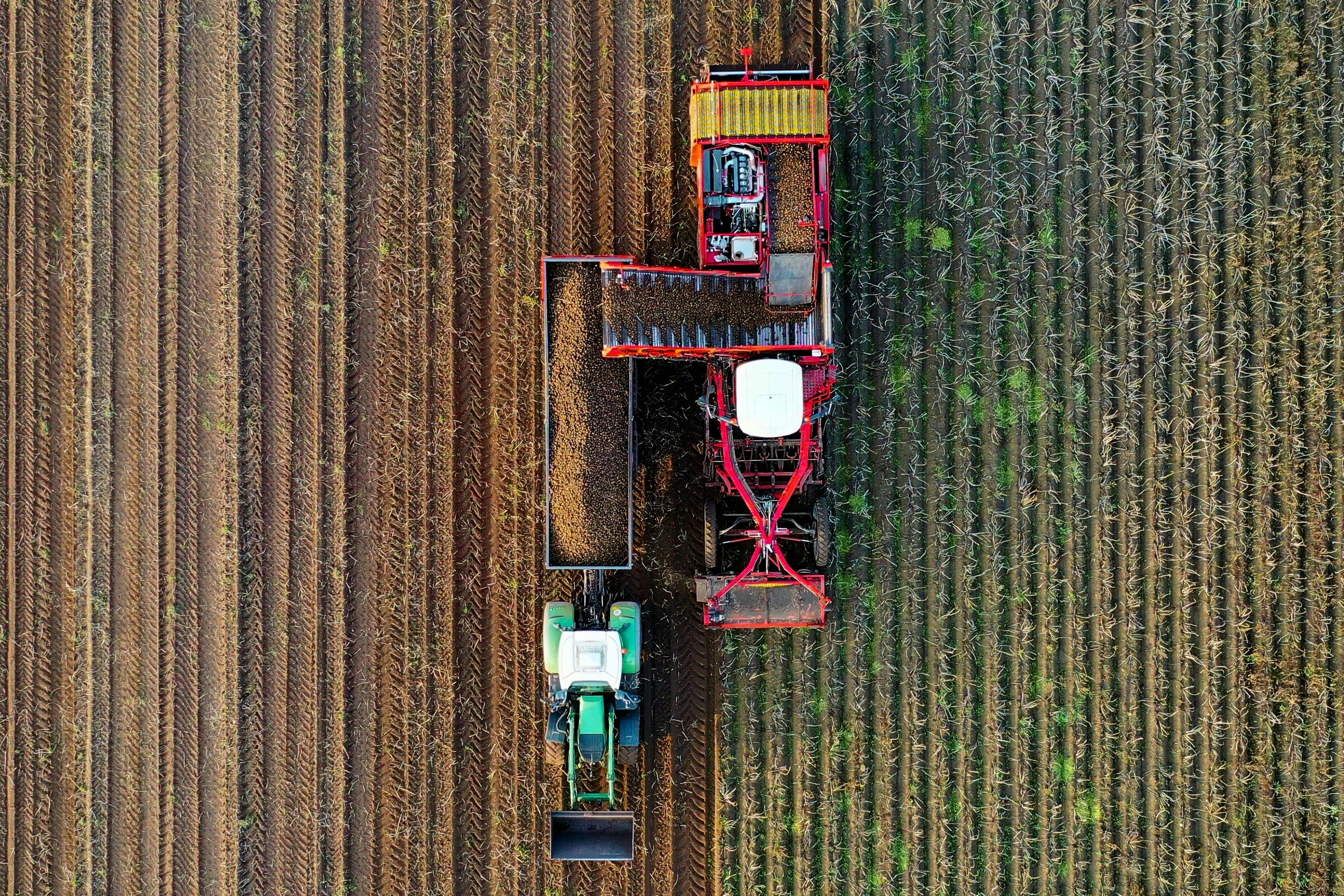 Camas Country Mill
